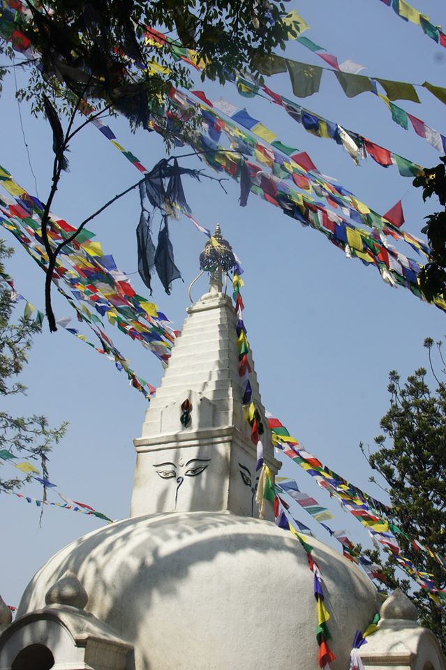 mhtpcakmak_1409664813193