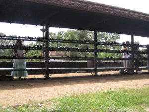 mhtpcakmak_141032783278